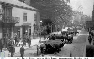 Knaresborough cattle market 1906